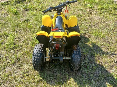 2020 Другие ATV (другие), жёлтый, 50000 рублей, вид 3