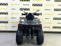 2025 Bison Hammer 250 PRO, серый - вид 4