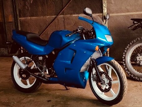1996 Honda NS, синий, 180000 рублей, вид 4