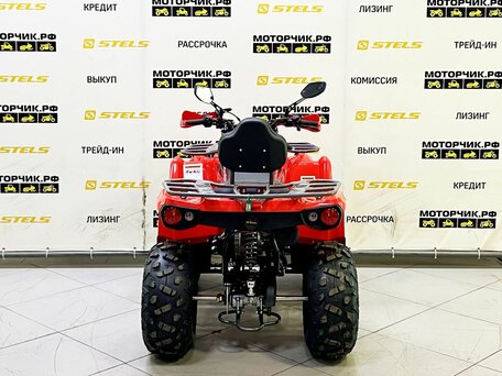 2025 Bison ATV200, красный, 239900 рублей, вид 2