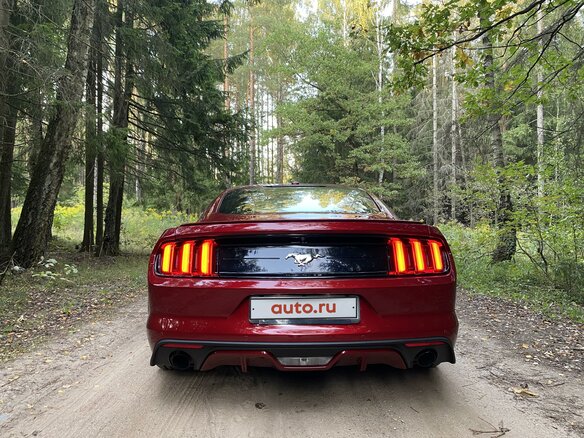 2016 Ford Mustang VI, красный - вид 21