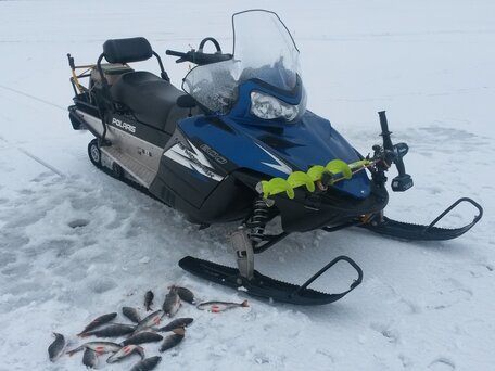 2013 Polaris 600 IQ, синий, 850000 рублей, вид 1