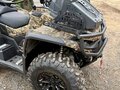 2025 AODES (Odes) Pathcross 1000 Mud Pro, коричневый, 1507000 рублей - вид 2