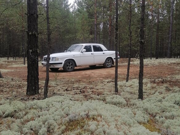 2001 ГАЗ 3110 «Волга», белый, 180000 рублей - вид 13