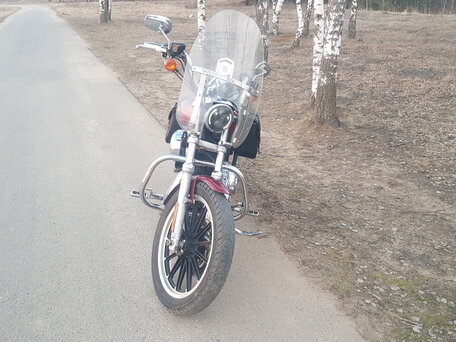 2009 Harley-Davidson Sportster 1200, пурпурный, 780000 рублей, вид 2
