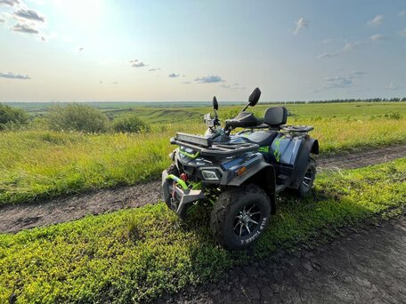 2024 Motoland Wild Track 200 X Pro, серый, 219000 рублей, вид 2
