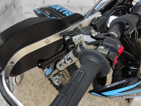 2025 Avantis Enduro 300 Pro/EFI, синий, 220000 рублей, вид 5
