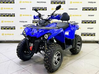 2025 Bison Hammer 250 PRO, синий, 252990 рублей, вид 1