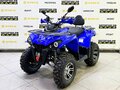 2025 Bison Hammer 250 PRO, синий