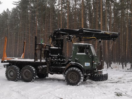 1991 КамАЗ 4310, зелёный, 2750000 рублей, вид 1
