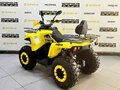2025 Bison Hammer 200, жёлтый - вид 2