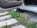 2008 Renault Logan I, серый, 270000 рублей - вид 9