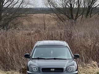2004 Hyundai Santa Fe I, чёрный, 580000 рублей, вид 1