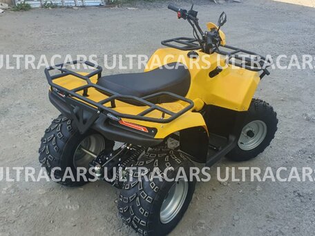 2026 Irbis ATV 200U, жёлтый, 235196 рублей, вид 3
