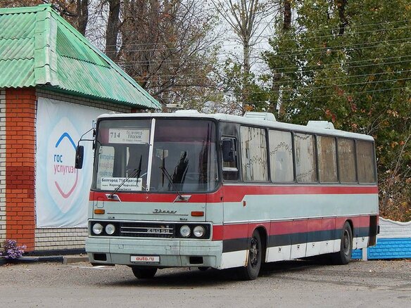 1988 Ikarus 250, красный, 550000 рублей - вид 3