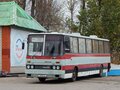 1988 Ikarus 250, красный, 550000 рублей - вид 3