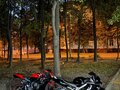2000 Honda CBR 600F, чёрный, 350000 рублей - вид 6
