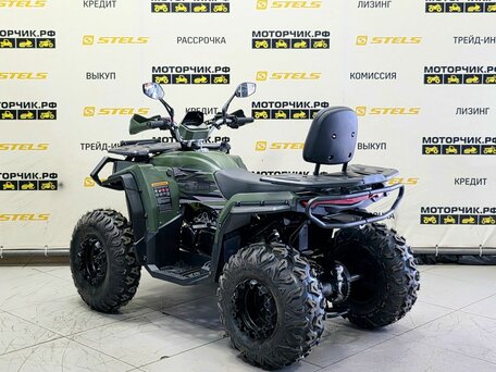 2025 Bison ATV 250F, зелёный, 179000 рублей, вид 3