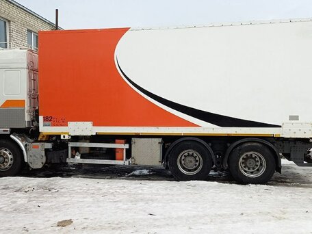 1991 DAF XF 95, белый, 1600000 рублей, вид 5