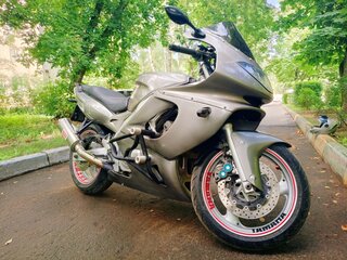 1998 Yamaha YZF600R Thundercat, серебристый, 330000 рублей, вид 2