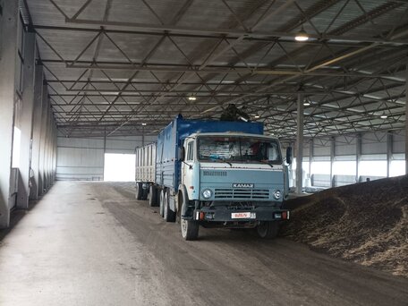 1990 КамАЗ 53212, белый, 1350000 рублей, вид 5