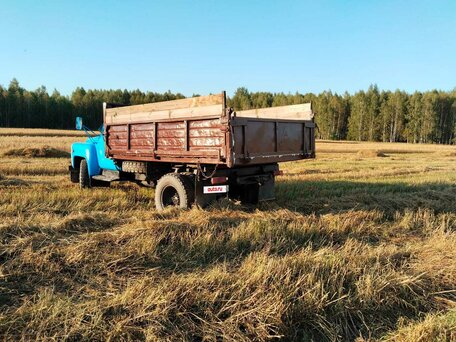 1986 ГАЗ-САЗ 3502, синий, 400000 рублей, вид 4