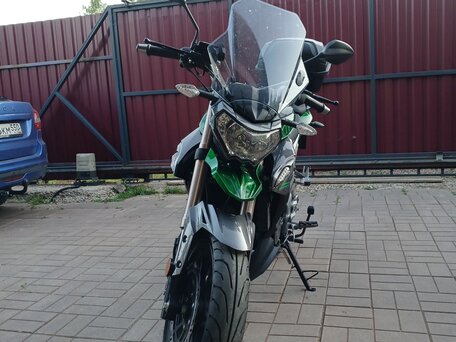 2022 Regulmoto T-Leopard 300, зелёный, 197000 рублей, вид 2