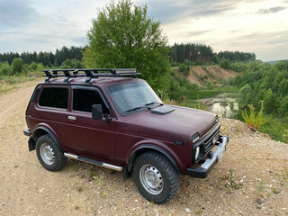 2003 Lada (ВАЗ) 2121 (4x4) I Рестайлинг, красный, 600000 рублей, вид 5
