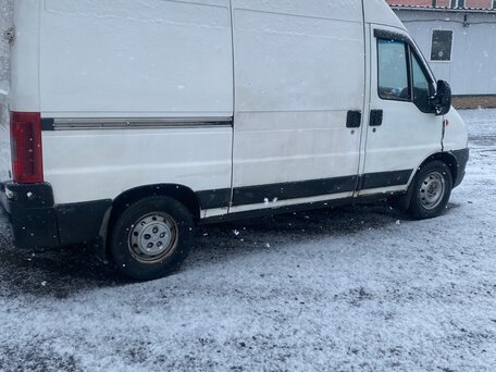 2008 Fiat Professional Ducato, белый, 999999 рублей, вид 4
