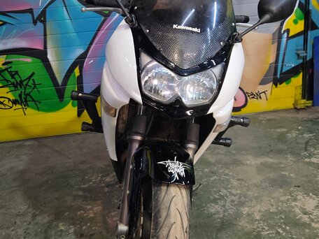 2006 Kawasaki ER-6F (Ninja 650R), белый, 310000 рублей, вид 4
