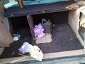2004 Ford Excursion, белый - вид 10