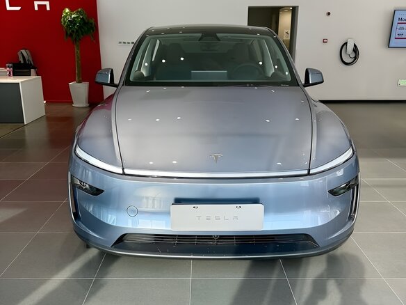 2025 Tesla Model Y Standard I Рестайлинг, серебристый - вид 2