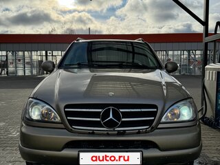 2001 Mercedes-Benz M-Класс 320 I (W163), серый, 580000 рублей, вид 2