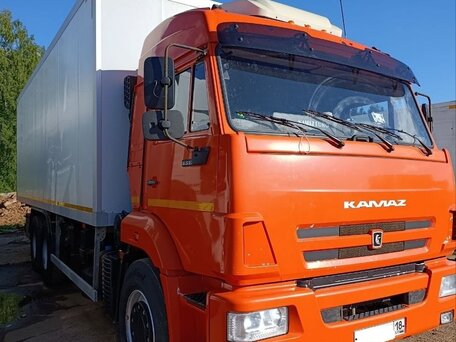 2022 КамАЗ 65115, оранжевый, 5000000 рублей, вид 1