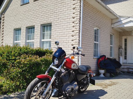2019 Harley-Davidson Sportster 883, красный, 830000 рублей, вид 3