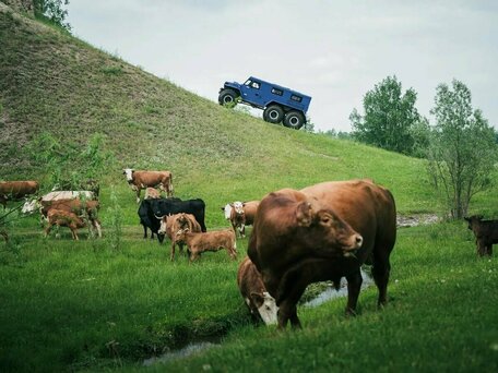 2026 Север Егерь 6x6, синий, 9495000 рублей, вид 5