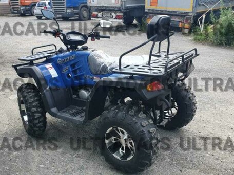 2026 Irbis ATV 300U, синий, 494990 рублей, вид 4