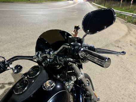 2016 Harley-Davidson Dyna Low Rider, чёрный, 1530000 рублей, вид 2