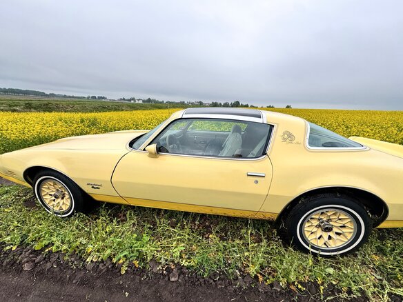1980 Pontiac Firebird II, жёлтый - вид 14