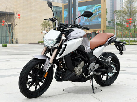2020 Regulmoto Alien Monster, серебристый, 275000 рублей, вид 2