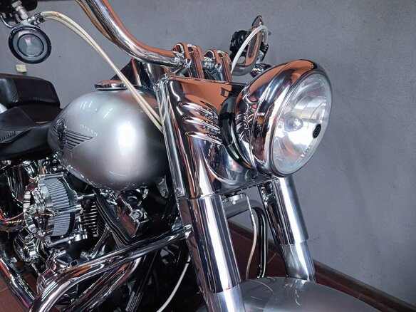 2009 Harley-Davidson Fat Boy, серый, 870000 рублей - вид 8