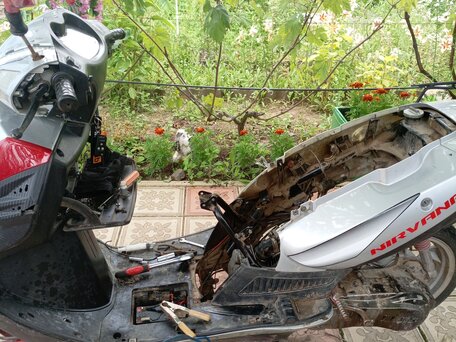 2010 Irbis Nirvana, красный, 34000 рублей, вид 4