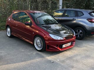 2003 Peugeot 206, красный, 400000 рублей, вид 3
