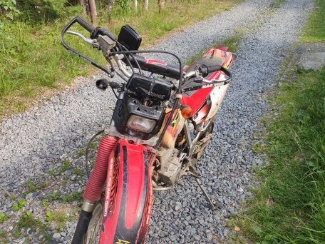 2003 Honda XR 250, красный, 250000 рублей, вид 1