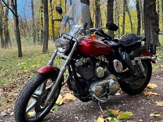 2009 Harley-Davidson Sportster 1200, красный, 650000 рублей, вид 3