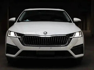 2022 Skoda Octavia IV (A8), белый, 2264000 рублей, вид 1