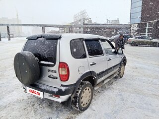 2007 Chevrolet Niva I, серебристый, 400000 рублей, вид 5