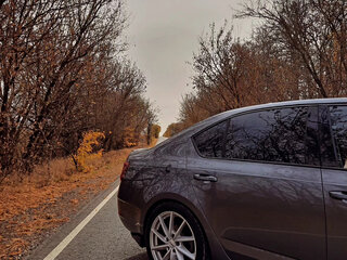 2017 Skoda Octavia III (A7) Рестайлинг, серый, 2449000 рублей, вид 5