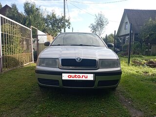 2002 Skoda Octavia I (A4) Рестайлинг, серый, 285000 рублей, вид 2