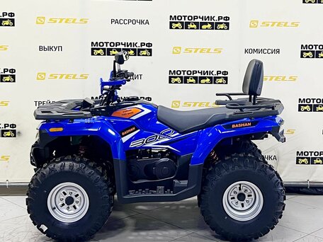 2025 Bashan Explorer 300, синий, 299000 рублей, вид 2